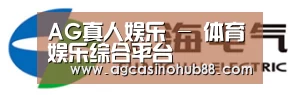 上汽电器