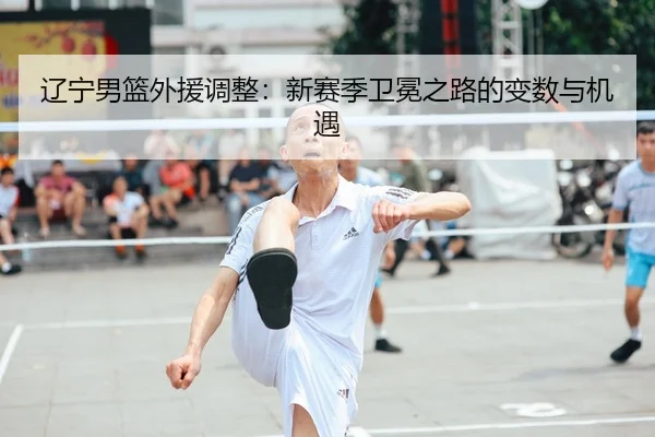 liao-ning-nan-lan-wai-yuan-tiao-zheng-xin-sai-ji-wei-mian-zhi-lu-de-bian-shu-yu-ji-yu-3-596.jpg