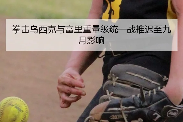 拳击乌西克与富里重量级统一战推迟至九月影响